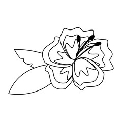 flower blossom icon cartoon isolated in black and white