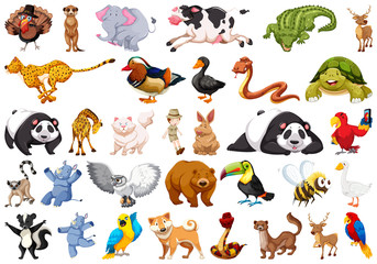 Obraz premium Set of wild animal