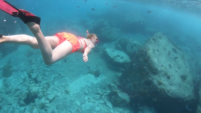 Female in bikini in apnea under and above the sea. Snorkeling dress woman at St. Pierre Island near praslin, Seychelles. Travel lifestyle watersport activity. Fishes and sealife in foreground.