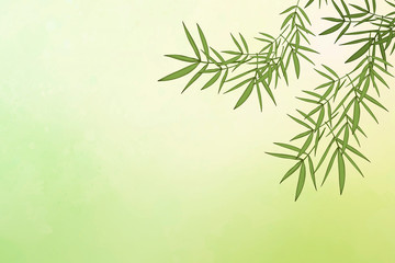 Bamboo leaf background