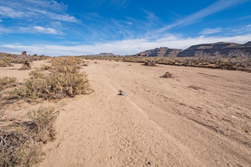 Fototapeta na wymiar Dry Flood Plain in the Mojave Desert