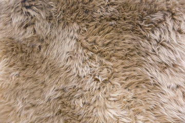 Tiled sheepskin wool, macro close up