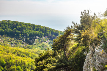 Mountain with a steep rocky slope and valley with thick green forest below in the light of the sunshine.