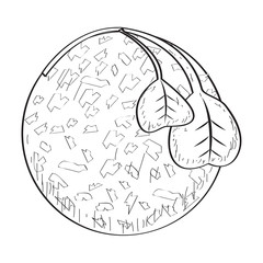 Isolated acarajes. Traditional brazilian food - Outline Vector