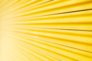 Yellow steel door, beautiful proportions. Can be used as a design background.