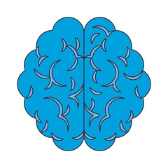 brain top view icon cartoon