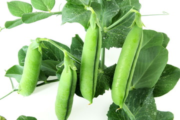 fresh green pea pods and green peas isolated on the white background