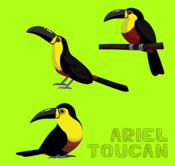 Bird White Ariel Toucan Cartoon Vector Illustration