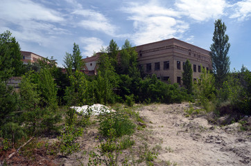 Fototapeta na wymiar Abandoned construction site of Hospital. Abandoned at 1991,during Ukrainian undependence crisis. Kiev Region,Ukraine