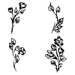 Flowers and branches isolated on white background. Hand drawn doodle collection. 4 floral graphic elements. Big vector set. Outline floral logotypes