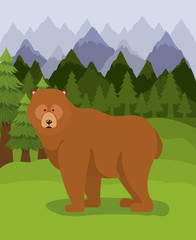 Bear animal and pine trees design