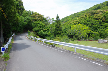 神宮林を走る信仰の道