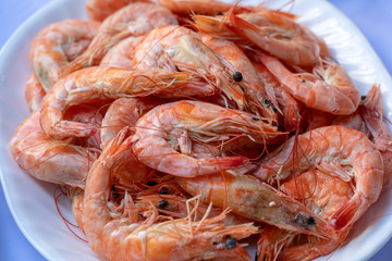 Boiled shrimp for sale in the street market in Bangkok, Thailand. Closeup