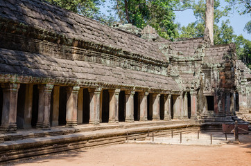 Fototapeta premium Ta Prohm Temple is The One Attractive Temple In Angkor Thom Area at Siem Reap Province, Cambodia.