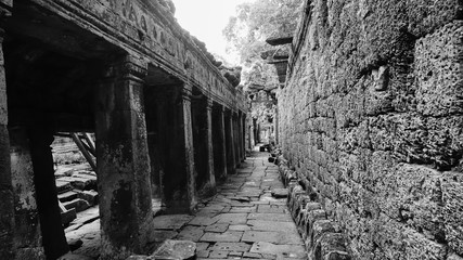 Fototapeta premium Empty corridor amidst old columns with diminishing perspective, in the ancient temple of Angkor Wat, Siem Reap, Cambodia.
