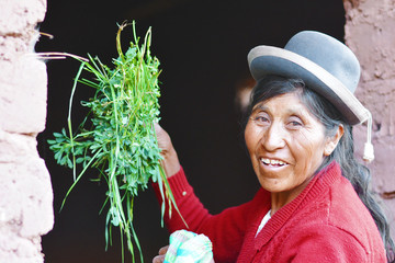 Typical aymara woman with branches with green leaves.