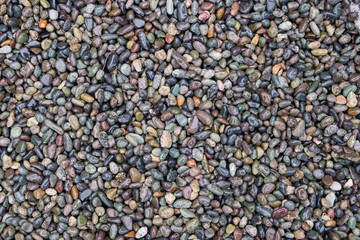 Wet smooth gravel or pebbles colorful texture for background