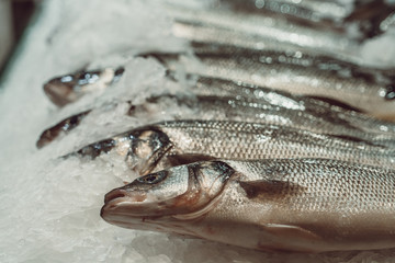 Fish market close up pictures. Fishes and seafood sea food on ice for retail. Frozen fishes, crabs, prawns.