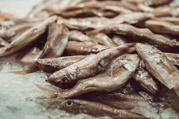 Fish market close up pictures. Fishes and seafood sea food on ice for retail. Frozen fishes, crabs, prawns.