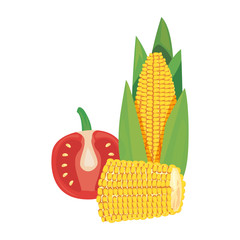 Obraz premium corn tomato fresh food icon vector ilustrate