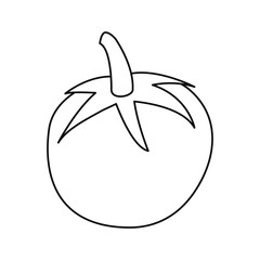 tomato fresh vegetables icon vector ilustrate