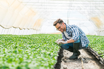 Smiling young man working at greenhouse nursery.