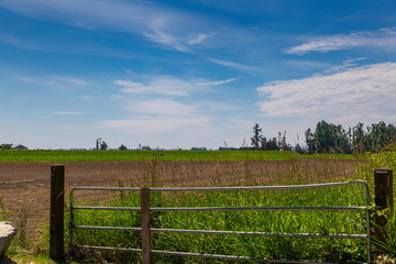 Fototapeta premium fence in a field