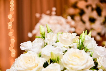 white flowers on salmon background