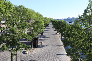 Fototapeta na wymiar Lyon - Voie piétonne bordée d'arbres du quai Claude Bernard au bord du fleuve Rhône