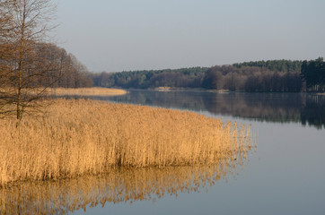 Quiet lake before dawn in the mist