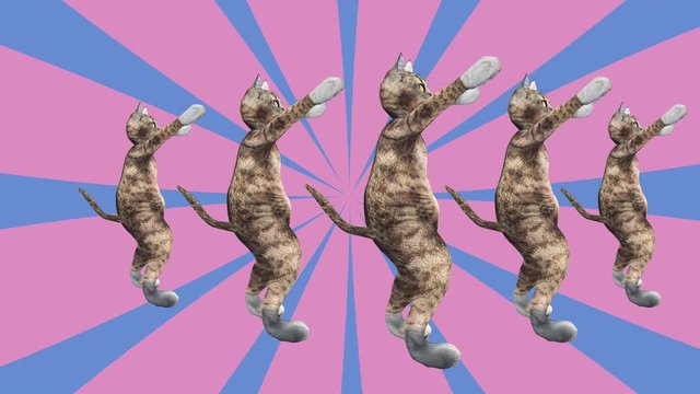 Comic tomcats waving paws and tail in an energetic clip summer mood. A cute brown pussycats dancing together in a modern style in tunnel colour space. Cool and the best moves in stylish of 80s and 90s