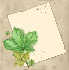 Antiqued Paper Page with Green Tree Leaves on Rough Textured Background. Botanical Illustration with Blank Copy Space.