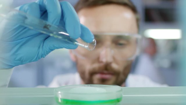 Rack focused shot of male scientist in goggles holding test tube with green liquid reagent in his hand and pouring drops of it into petri dish with plasmid DNA