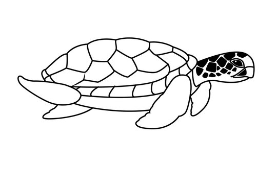 brown sea turtle icon cartoon black and white