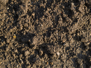 texture of soil