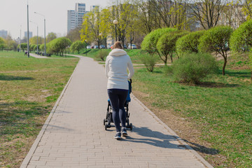 Young mother with a baby in a stroller in a summer park.