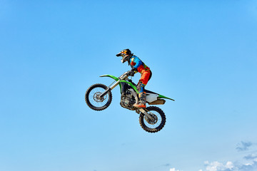 Fototapeta na wymiar Extreme sports, motorcycle jumping. Motorcyclist makes an extreme jump against the sky.