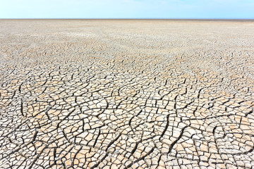 Desolate landscape with cracked ground at the seashore. Brown, beige, light tan and grey colored. Concept of global warming. 