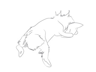 vector illustration of a cat, which lies drawing lines