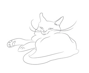 vector illustration of a cat, which lies drawing lines