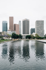 Downtown Los Angeles skyine and the Department of Water and Power in Los Angeles, California