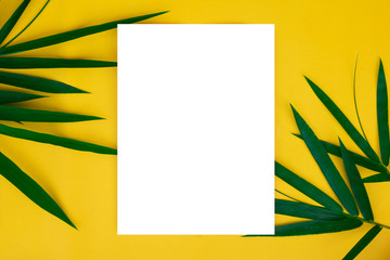 tropical bamboo leaves with blank white paper on yellow background , summer concept, top view,copy space