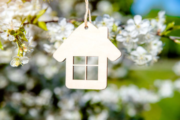 Symbol of the house on the branches of a flowering cherry 