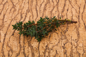 Green Thyme branch