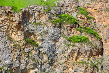 Mountain hill panoramic landscape in the early morning
