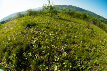 Fototapeta premium beautiful mountain valleys and mountains on a bright sunny day on the background of a wide valley