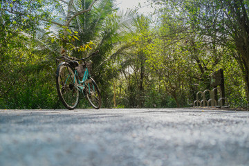 Fototapeta premium Low angle view of a bike parking on an empty road surrounded by lush green foliage in tropical forest in summer.