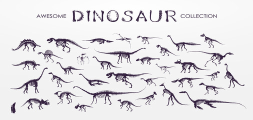 Set, silhouettes, dino skeletons, dinosaurs, fossils. Hand drawn vector illustration. Comparison of sizes, realistic Sketch collection: a, triceratops, tyrannosaurus, doodle pattern 