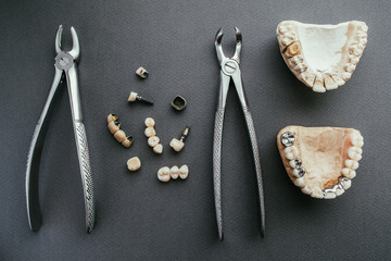 Orthodontics and prosthetics tools. Gypsym jaw dentures and forceps on grey background.