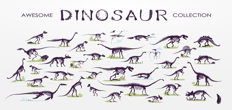 Set, silhouettes, dino skeletons, dinosaurs, fossils. Hand drawn vector illustration. Comparison of sizes, realistic Sketch collection: a, triceratops, tyrannosaurus, doodle pattern 